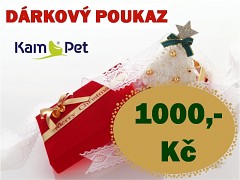 Dárkový poukaz v hodnotě 1000,-Kč kupón