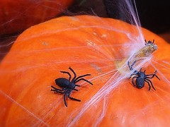 Velcí černí pavouci na HALLOWEEN dekoraci