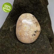 Rarita EXKLUSIVNÍ Fosilní KORÁL kabošon přírodní minerál šperkový kámen