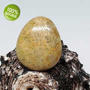 Rarita EXKLUSIVNÍ Fosilní KORÁL kabošon přírodní minerál šperkový kámen 